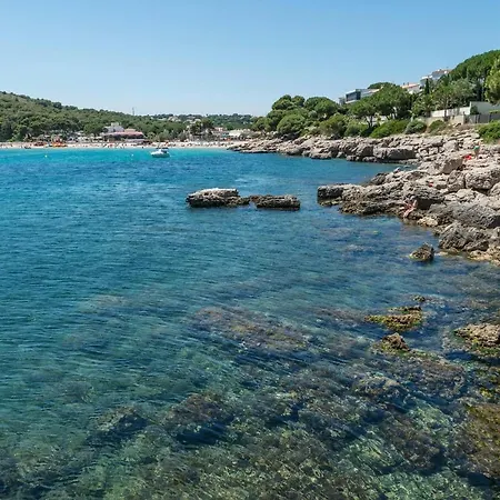 Catalina Villa